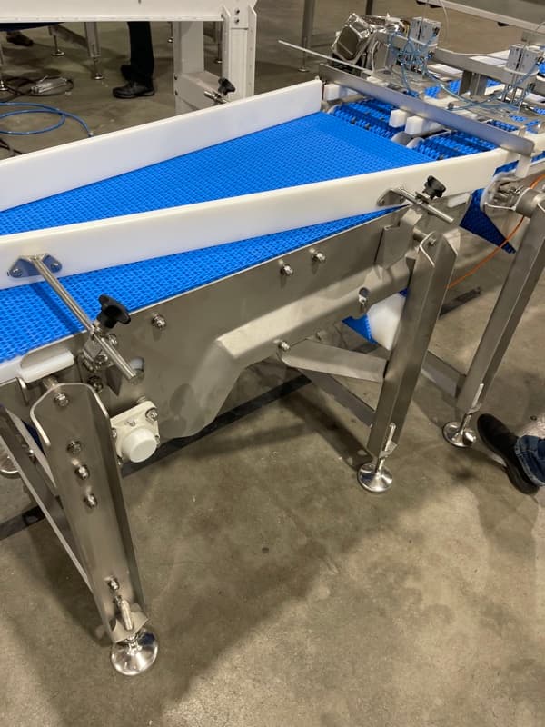 Sanitary modular belt conveyor showing interlocking plastic belt modules on stainless steel frame
